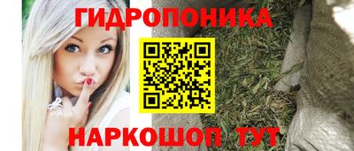 бошки Берёзовский